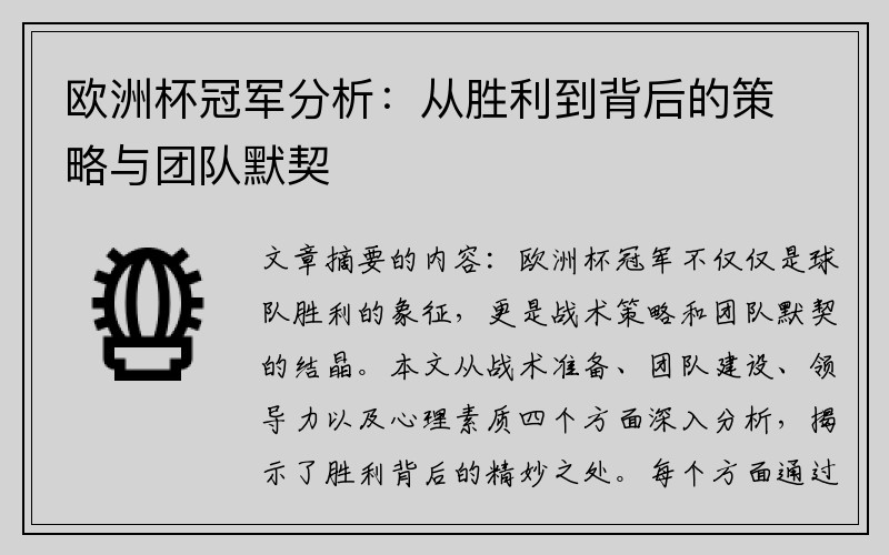 欧洲杯冠军分析：从胜利到背后的策略与团队默契